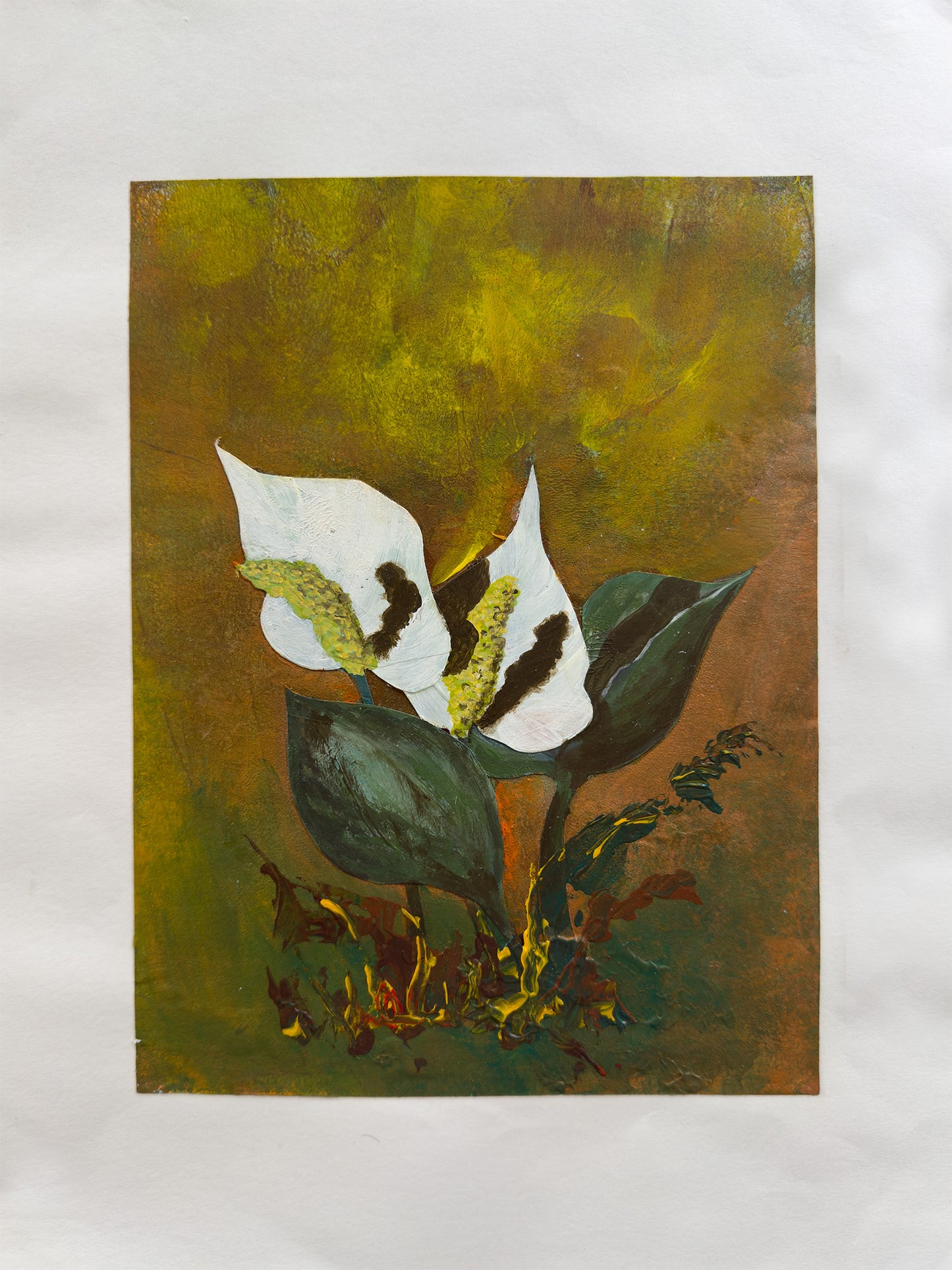 Collage Myrkongle / Calla palústris nr. 0598