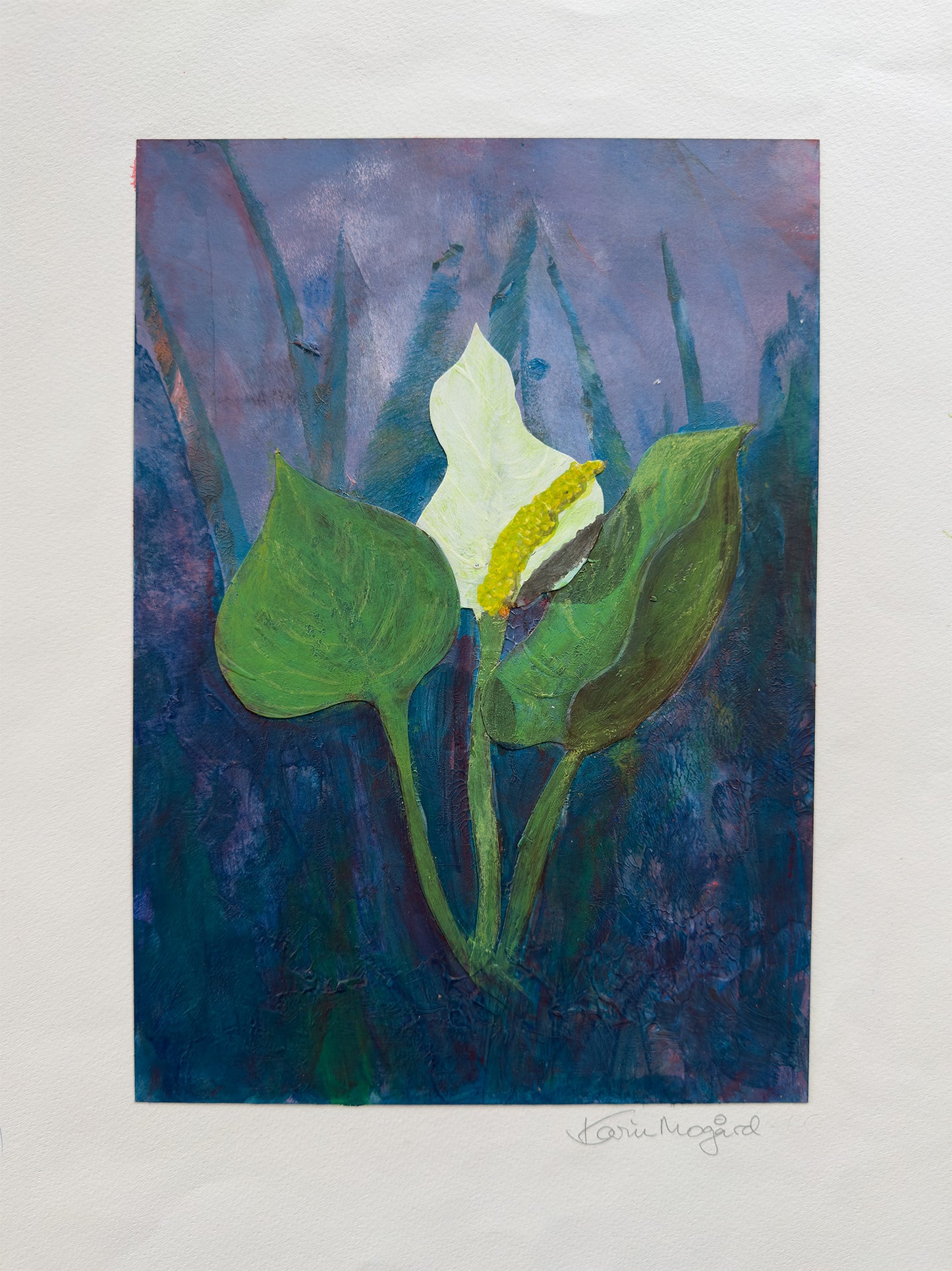 Collage Myrkongle / Calla palústris nr. 0602