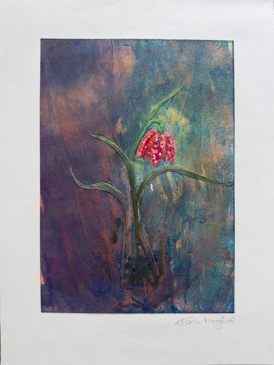 Collage Rutelilje / Checkered Lily nr. 0588