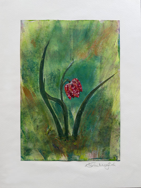 Collage Rutelilje / Checkered Lily nr. 0590