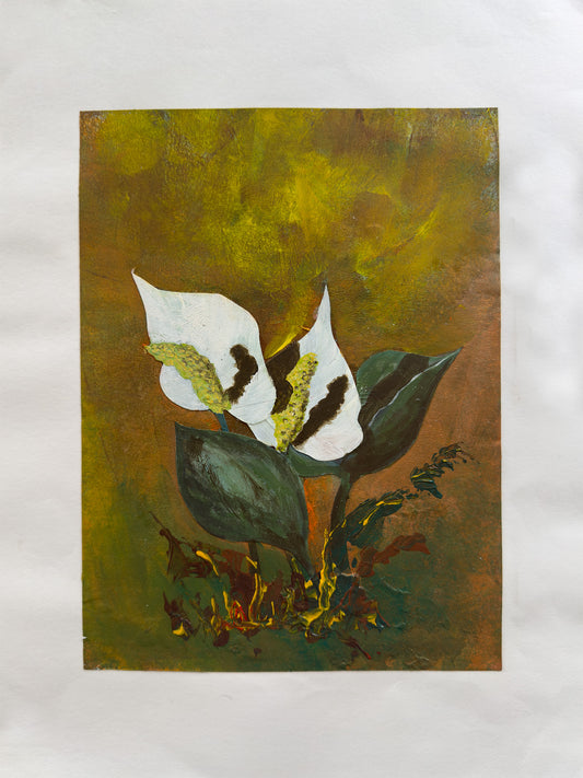 Collage Myrkongle / Calla palústris nr. 0598