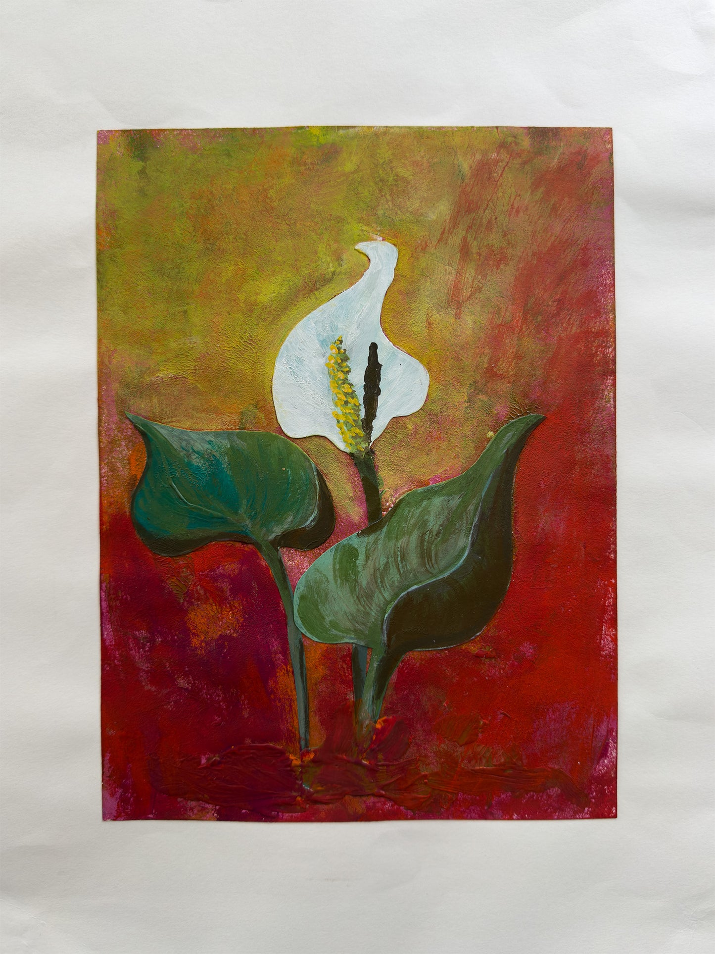 Collage Myrkongle / Calla palústris nr. 0599