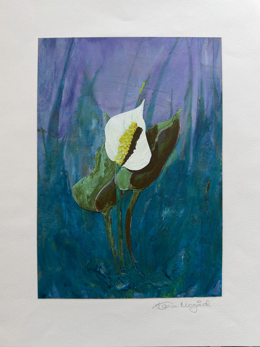 Collage Myrkongle / Calla palústris nr. 0600