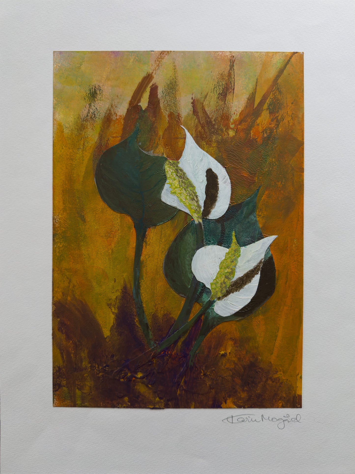 Collage Myrkongle / Calla palústris nr. 0604