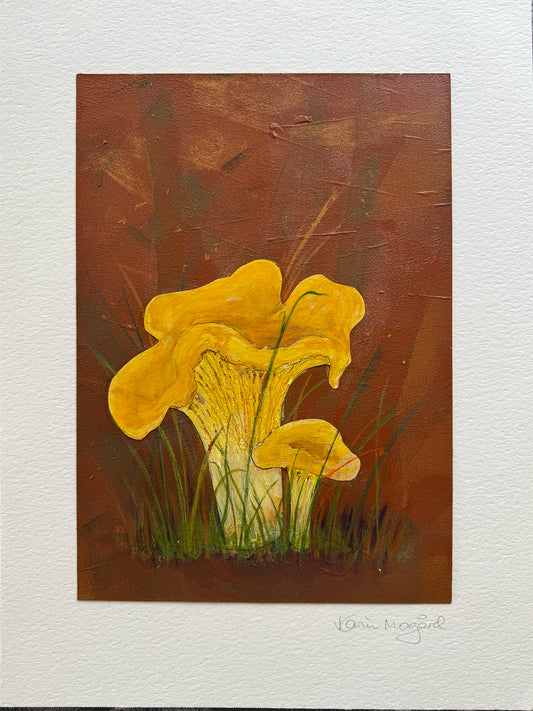 Collage Kantarell / Chanterelle nr. 0611